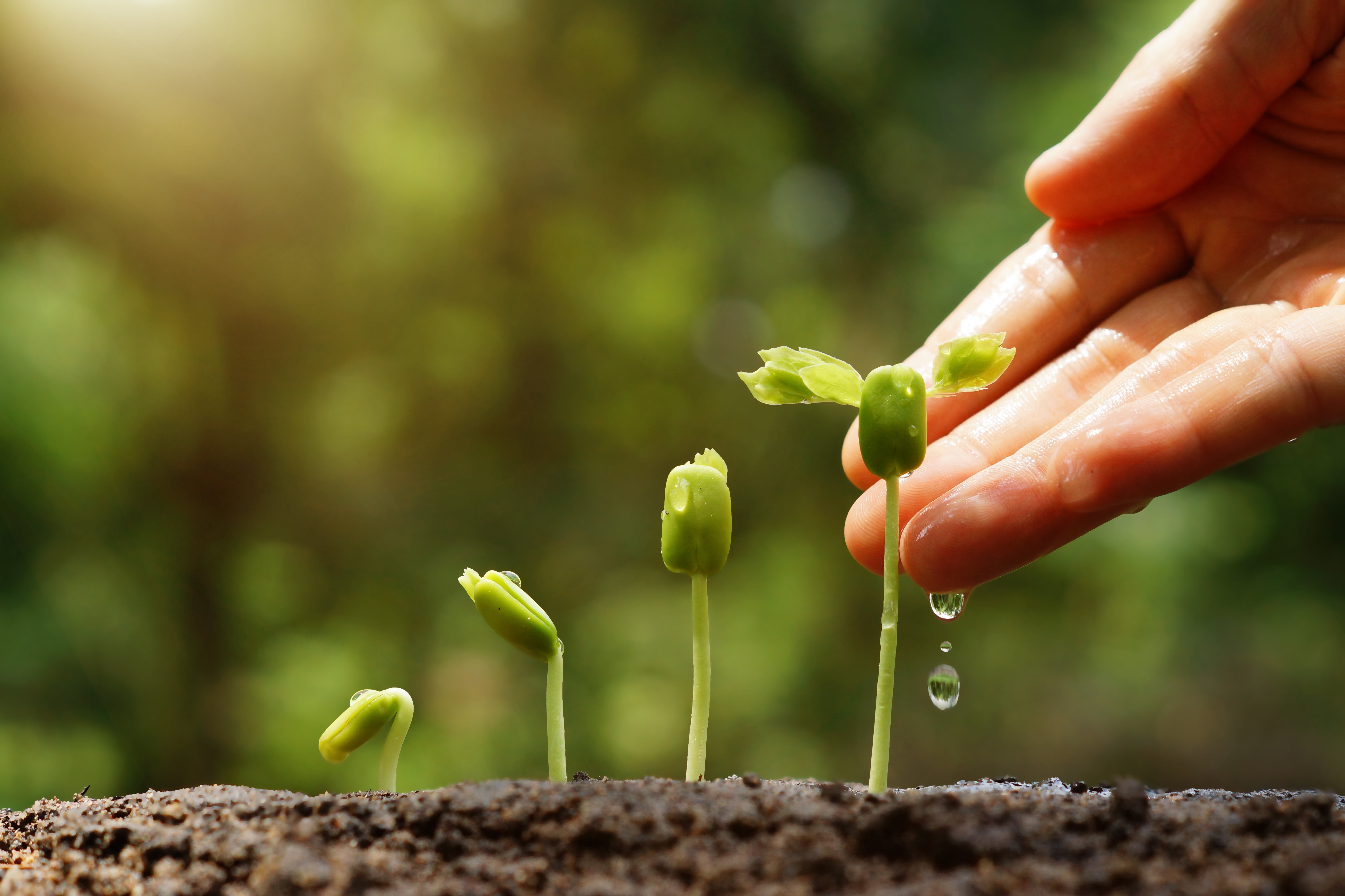 Agricultural land representing fertilizer end-use markets